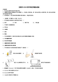 日照市2026年中考化学模拟试题（含答案解析）