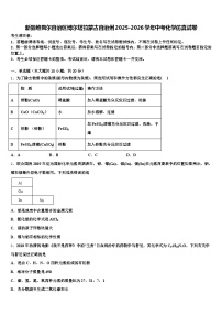 新疆维吾尔自治区博尔塔拉蒙古自治州2025-2026学年中考化学仿真试卷（含答案解析）