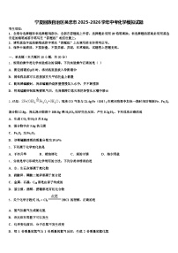 宁夏回族自治区吴忠市2025-2026学年中考化学模拟试题（含答案解析）