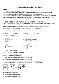2026年山东省潍坊市中考二模化学试题（含答案解析）