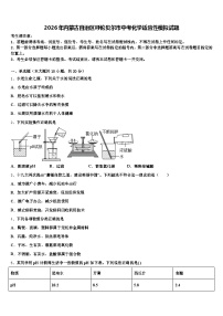 2026年内蒙古自治区呼伦贝尔市中考化学适应性模拟试题（含答案解析）