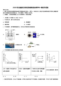 2026年云南省红河哈尼族彝族自治州中考一模化学试题（含答案解析）