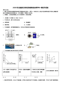 2026年云南省红河哈尼族彝族自治州中考一模化学试题（含答案解析）