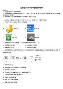 山西省2026年中考猜题化学试卷（含答案解析）