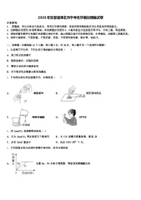 2026年安徽省淮北市中考化学模拟精编试卷（含答案解析）