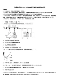 湖北省武汉市2026年中考化学最后冲刺模拟试卷（含答案解析）
