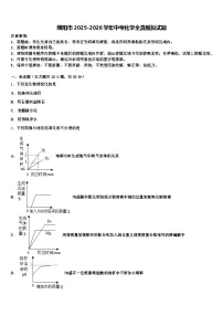 濮阳市2025-2026学年中考化学全真模拟试题（含答案解析）