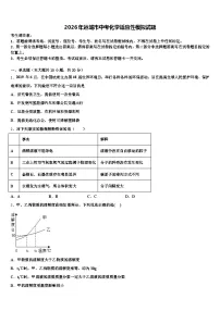 2026年运城市中考化学适应性模拟试题（含答案解析）