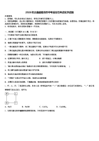 2026年云南省临沧市中考适应性考试化学试题（含答案解析）
