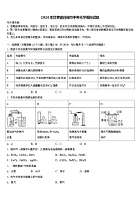 2026年甘肃省白银市中考化学模拟试题（含答案解析）