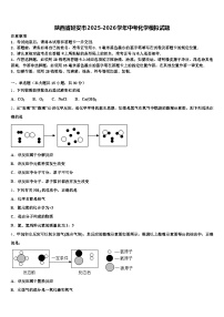 陕西省延安市2025-2026学年中考化学模拟试题（含答案解析）