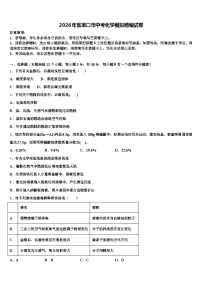2026年张家口市中考化学模拟精编试卷（含答案解析）