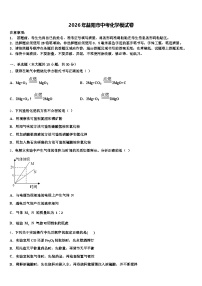 2026年益阳市中考化学模试卷（含答案解析）