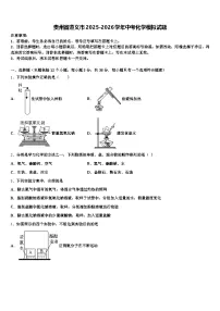 贵州省遵义市2025-2026学年中考化学模拟试题（含答案解析）