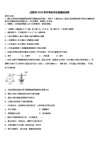日照市2026年中考化学全真模拟试卷（含答案解析）
