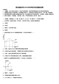 四川省宜宾市2026年中考化学全真模拟试卷（含答案解析）