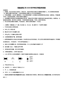 海南省海口市2026年中考化学模拟预测题（含答案解析）