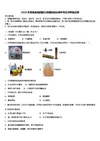 2026年青海省海西蒙古族藏族自治州中考化学押题试卷（含答案解析）