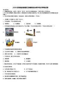 2026年青海省海西蒙古族藏族自治州中考化学押题试卷（含答案解析）