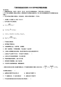 广西壮族自治区河池市2026年中考化学模拟预测题（含答案解析）