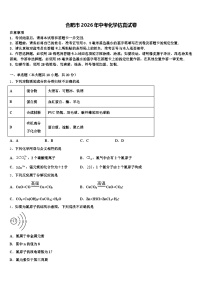 合肥市2026年中考化学仿真试卷（含答案解析）