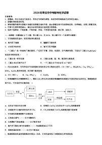 2026年枣庄市中考联考化学试卷（含答案解析）