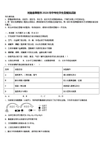 河南省濮阳市2026年中考化学全真模拟试题（含答案解析）