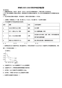 蚌埠市2025-2026学年中考化学模试卷（含答案解析）
