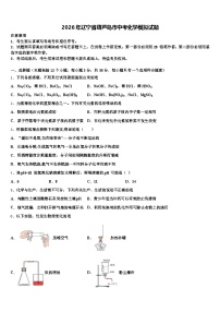 2026年辽宁省葫芦岛市中考化学模拟试题（含答案解析）
