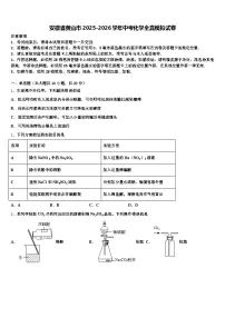 安徽省黄山市2025-2026学年中考化学全真模拟试卷（含答案解析）