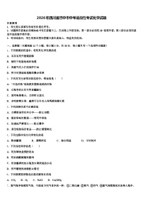 2026年四川省巴中市中考适应性考试化学试题（含答案解析）