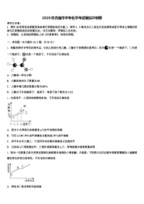 2026年济南市中考化学考试模拟冲刺卷（含答案解析）