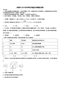 徐州市2026年中考化学最后冲刺模拟试卷（含答案解析）