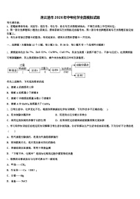 连云港市2026年中考化学全真模拟试题（含答案解析）
