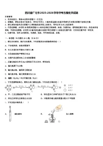 四川省广元市2025-2026学年中考五模化学试题（含答案解析）