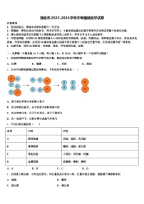 通化市2025-2026学年中考猜题化学试卷（含答案解析）
