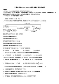 云南省普洱市2025-2026学年中考化学仿真试卷（含答案解析）