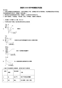 洛阳市2026年中考四模化学试题（含答案解析）