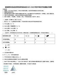 新疆维吾尔自治区伊犁哈萨克自治州2025-2026学年中考化学考试模拟冲刺卷（含答案解析）