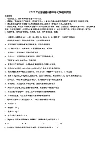 2026年山东省德州市中考化学模拟试题（含答案解析）