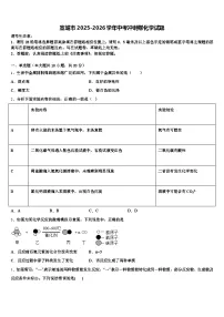 宣城市2025-2026学年中考冲刺卷化学试题（含答案解析）