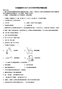 江苏省南京市2025-2026学年中考化学模拟试题（含答案解析）