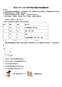 西宁市2025-2026学年中考化学最后冲刺浓缩精华卷（含答案解析）