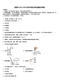 漳州市2025-2026学年中考化学考试模拟冲刺卷（含答案解析）