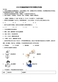 2026年湖南省常德市中考冲刺卷化学试题（含答案解析）