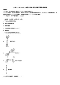三明市2025-2026学年初中化学毕业考试模拟冲刺卷（含答案解析）