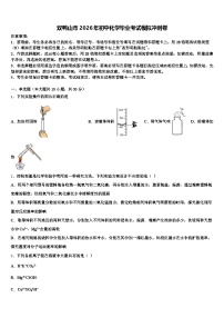 双鸭山市2026年初中化学毕业考试模拟冲刺卷（含答案解析）