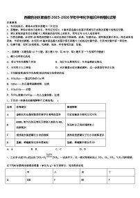 西藏自治区那曲市2025-2026学年中考化学最后冲刺模拟试卷（含答案解析）