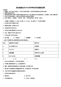 四川省眉山市2026年中考化学全真模拟试卷（含答案解析）