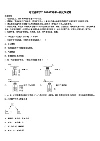 湖北省咸宁市2026年中考一模化学试题（含答案解析）